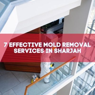 7 Effective Mold Removal Services in Sharjah