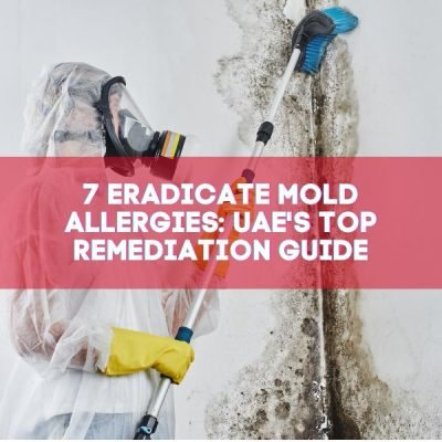 7 Eradicate Mold Allergies_ UAE's Top Remediation Guide