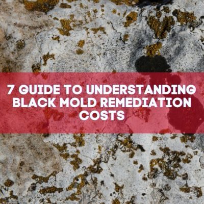 7 Guide to Understanding Black Mold Remediation Costs