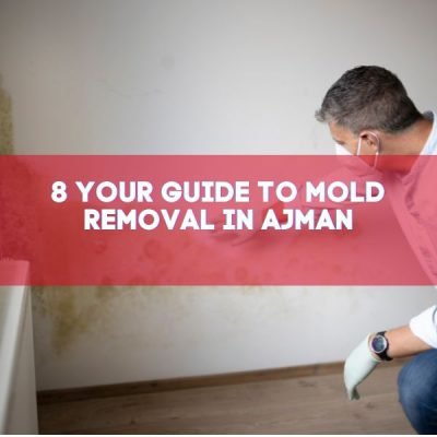 8 Your Guide to Mold Removal in Ajman