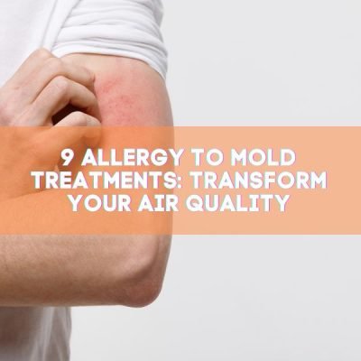 9 Allergy to Mold Treatments_ Transform Your Air Quality - Bio-On