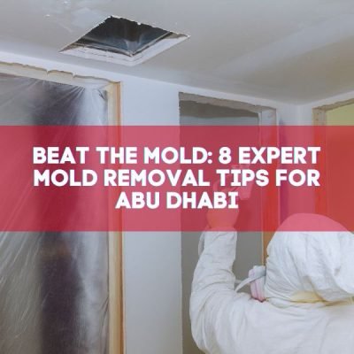 Beat the Mold_ 8 Expert Mold Removal Tips for Abu Dhabi