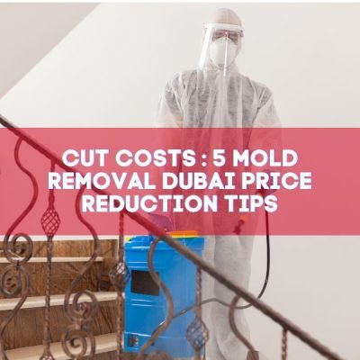 Cut Costs _ 5 Mold Removal Dubai Price Reduction Tips