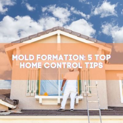 Mold Formation 5 Top Home Control Tips - Bio-On